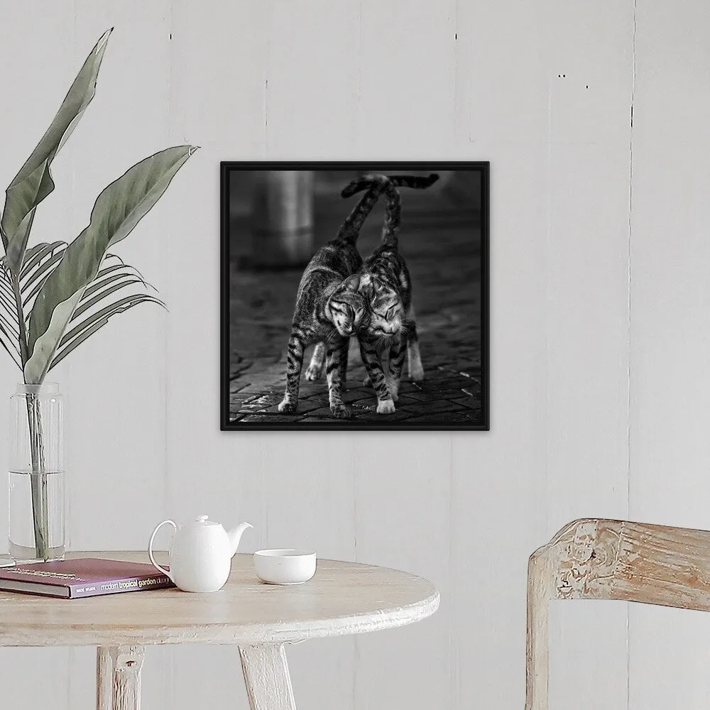 "Alleycats In Love" Black Float Frame Canvas Art